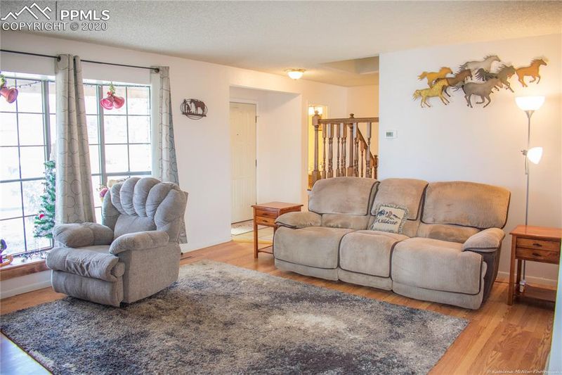 1102 Candytuft Ct, Pueblo, CO 81001