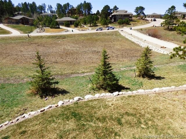 1102 Greenland Forest Dr, Monument, CO 80132