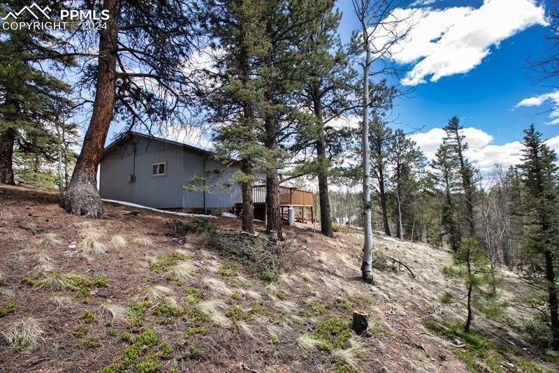 1107 E Bison Creek Trl, Divide, CO 80814
