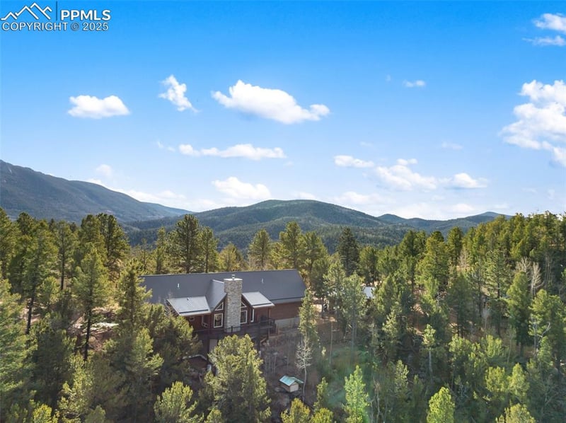 111 Blue Spruce Rd, Divide, CO 80814