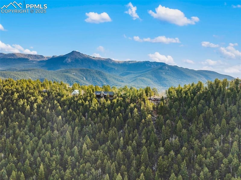 111 Blue Spruce Rd, Divide, CO 80814