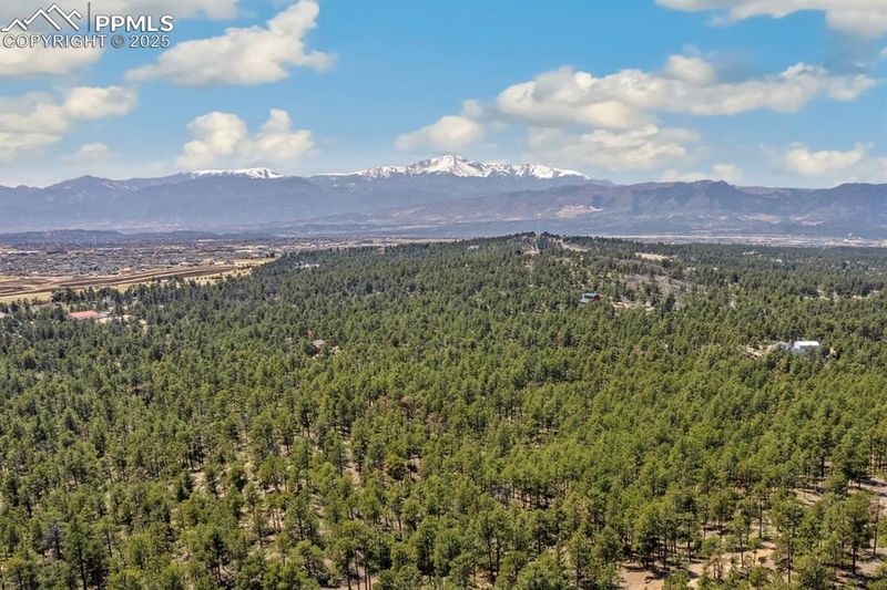 11178 Black Forest Rd, Colorado Springs, CO 80908