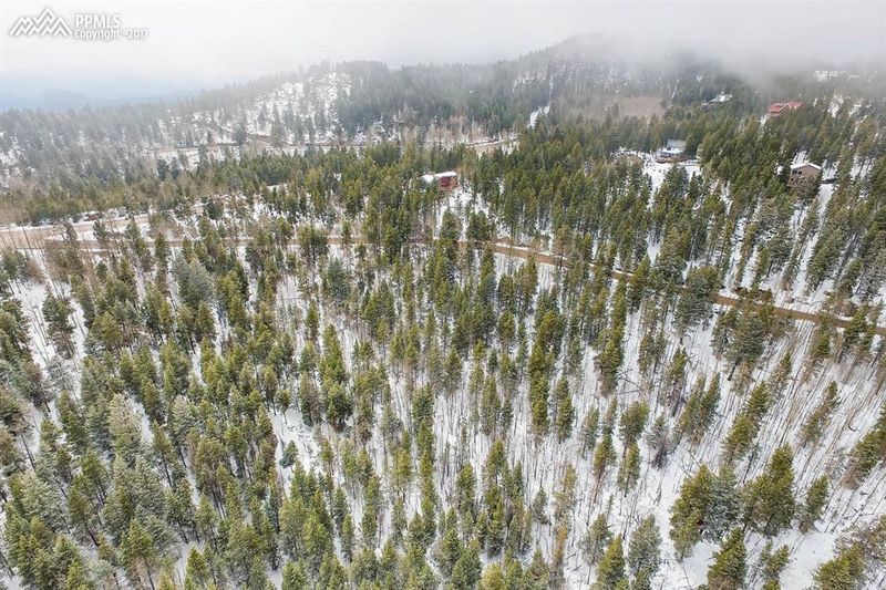 11184 Thomas Dr, Conifer, CO 80433