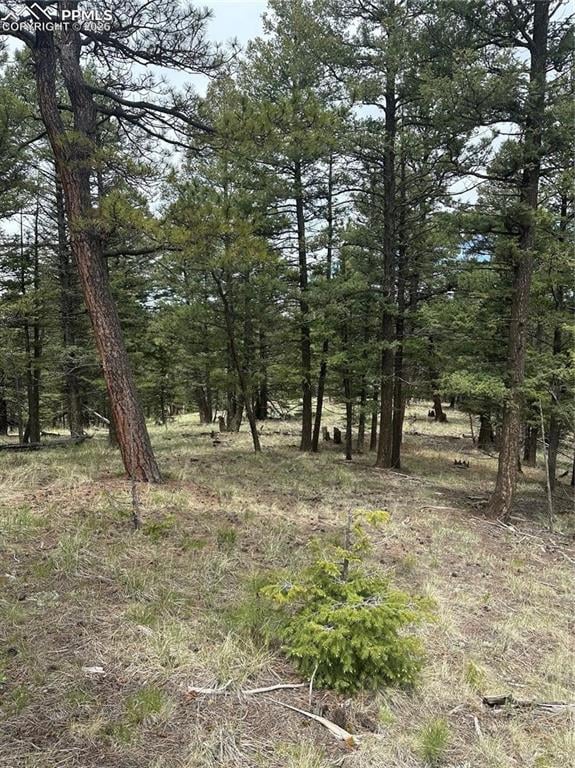 11201086 Mountain Estates Rd, Florissant, CO 80816