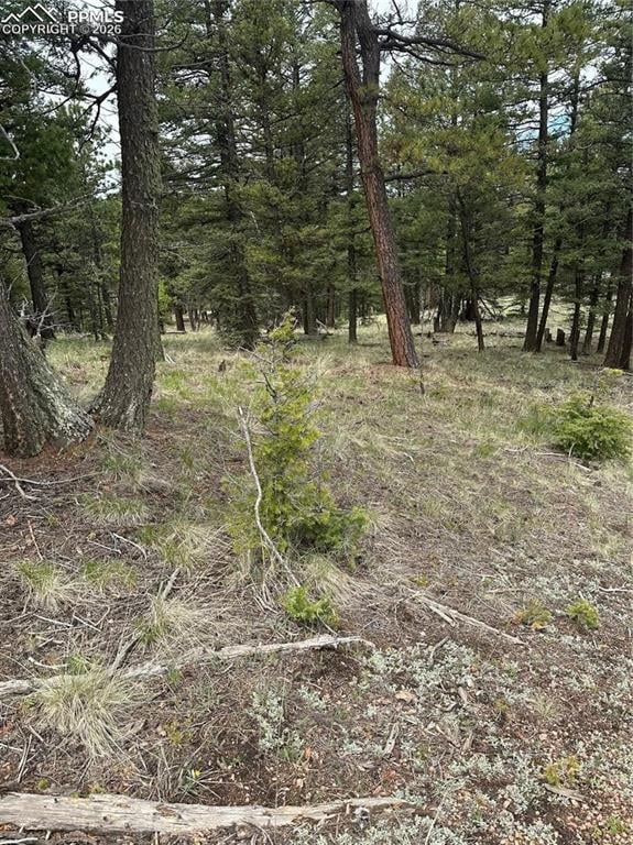 11201086 Mountain Estates Rd, Florissant, CO 80816