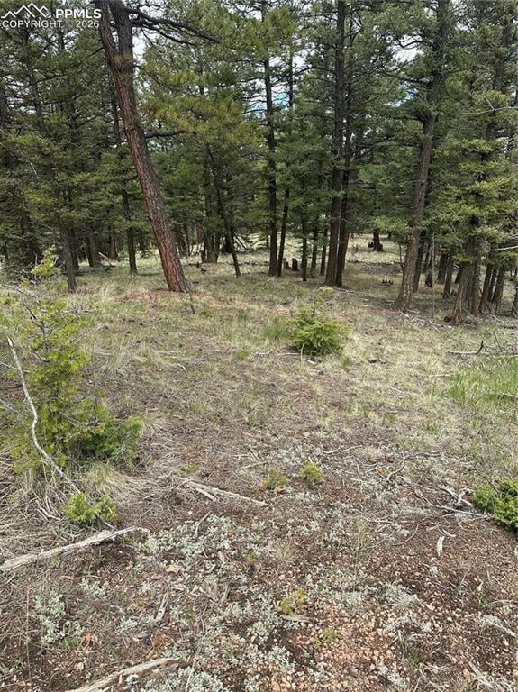 11201086 Mountain Estates Rd, Florissant, CO 80816