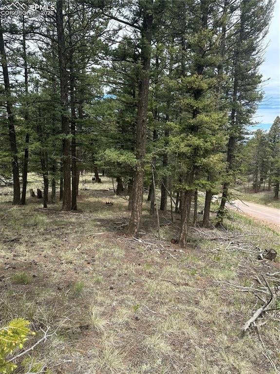 11201086 Mountain Estates Rd, Florissant, CO 80816