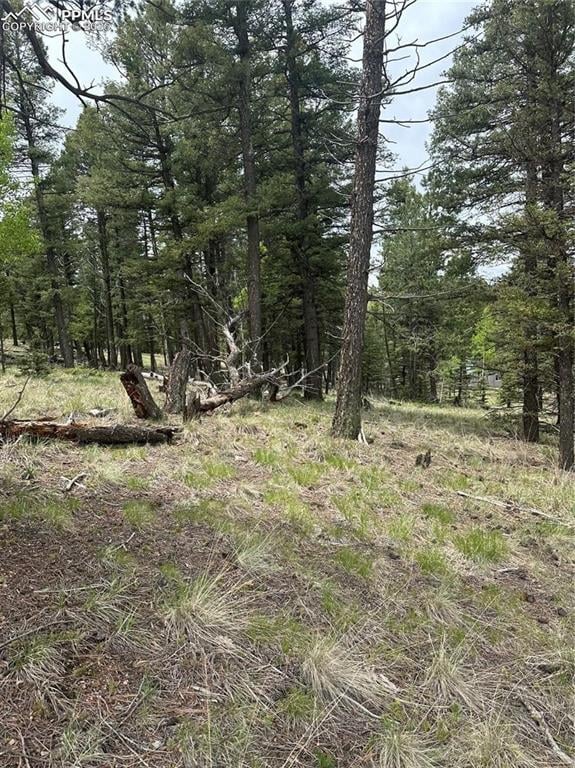 11201086 Mountain Estates Rd, Florissant, CO 80816