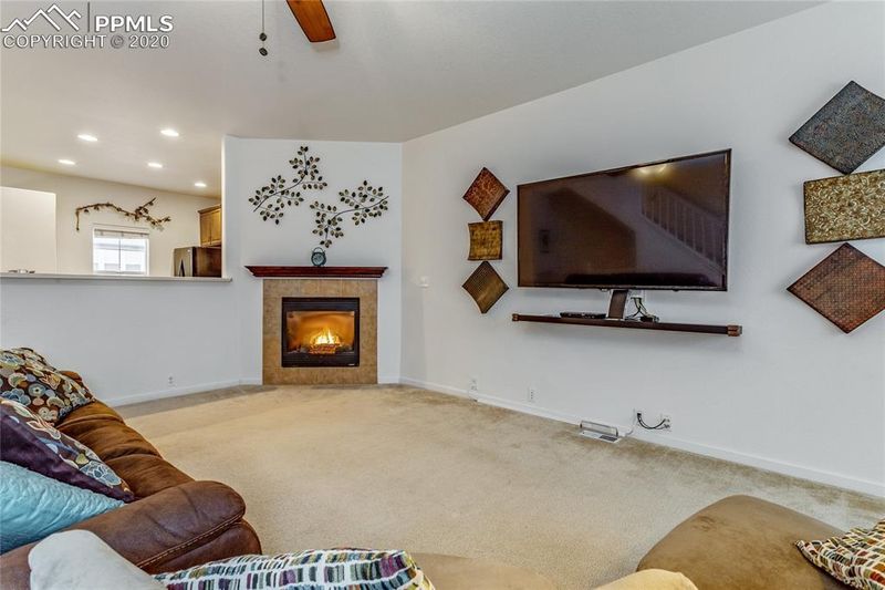 1125 Autumn Star Point, Monument, CO 80132
