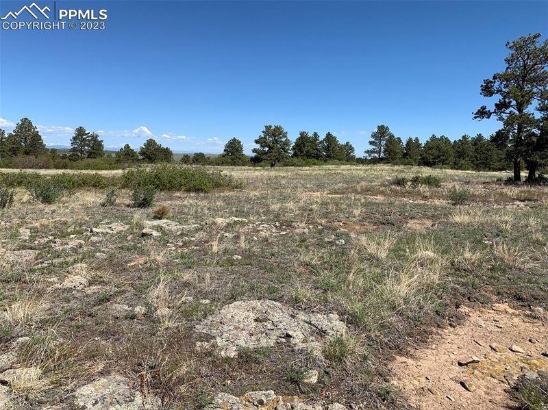11260 Glory Ridge Loop, Elbert, CO 80106