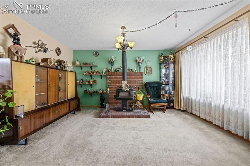 113 Cornell St, Colorado Springs, CO 80911