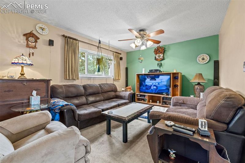 113 Cornell St, Colorado Springs, CO 80911