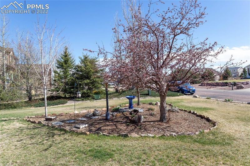 11310 Cressman Dr, Peyton, CO 80831
