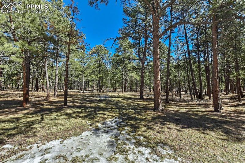 11325 Raygor Rd, Colorado Springs, CO 80908