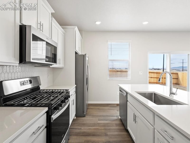 11337 Pikeminnow Pl, Colorado Springs, CO 80925