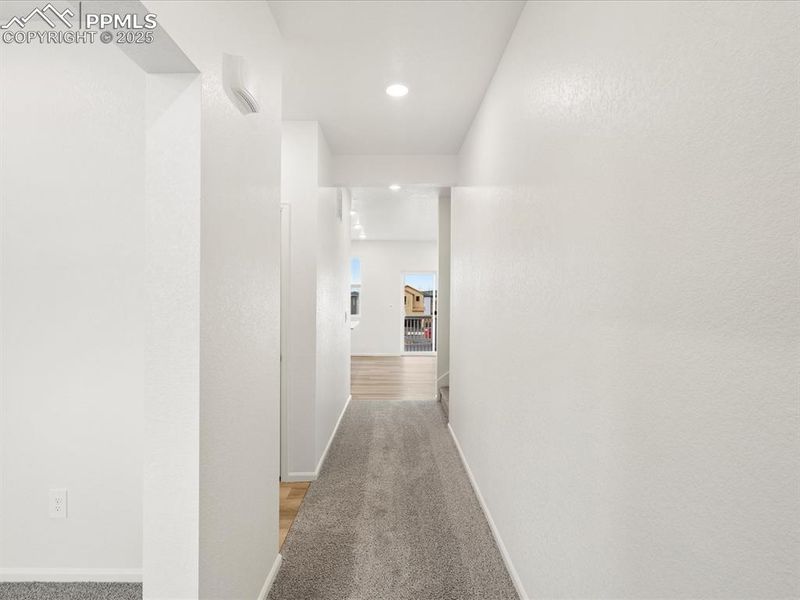 11384 Pikeminnow Pl, Colorado Springs, CO 80925