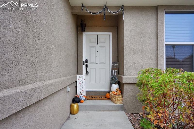 11424 Neutra Grv, Peyton, CO 80831