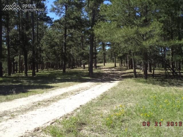 11430 County Road 110, Kiowa, CO 80117
