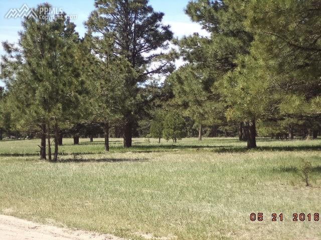 11430 County Road 110, Kiowa, CO 80117