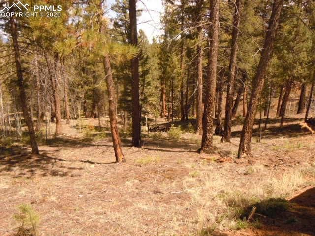 1148 Appleby Dr, Sedalia, CO 80135