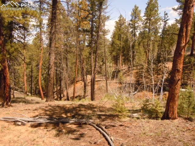 1148 Appleby Dr, Sedalia, CO 80135