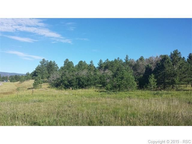 1149 Silverheels Dr, Larkspur, CO 80118