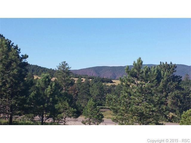 1149 Silverheels Dr, Larkspur, CO 80118