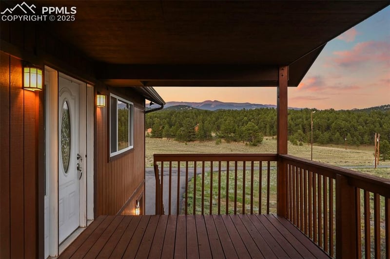 115 White Tail Ln, Florissant, CO 80816