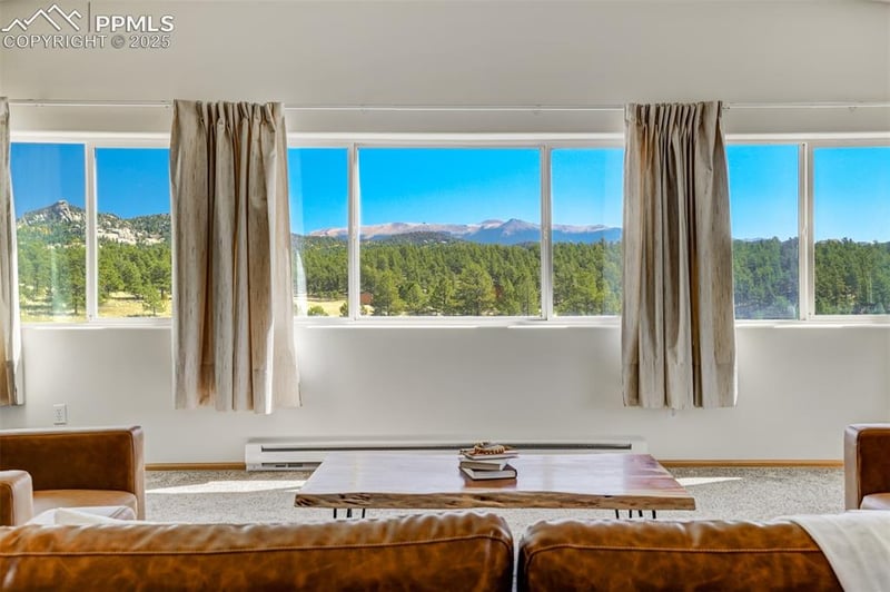 115 White Tail Ln, Florissant, CO 80816