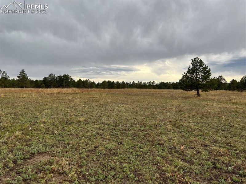 11535 Bison Meadows Ct, Colorado Springs, CO 80908