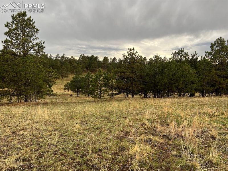 11535 Bison Meadows Ct, Colorado Springs, CO 80908