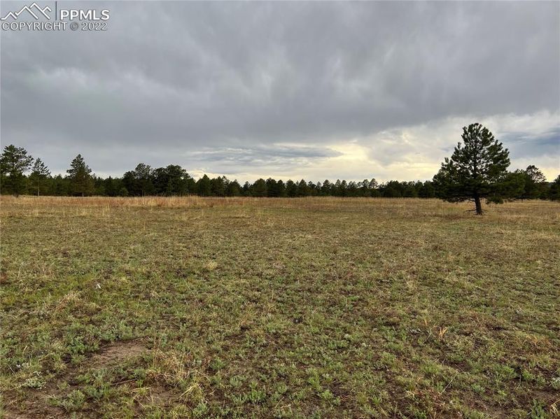 11535 Bison Meadows Ct, Colorado Springs, CO 80908