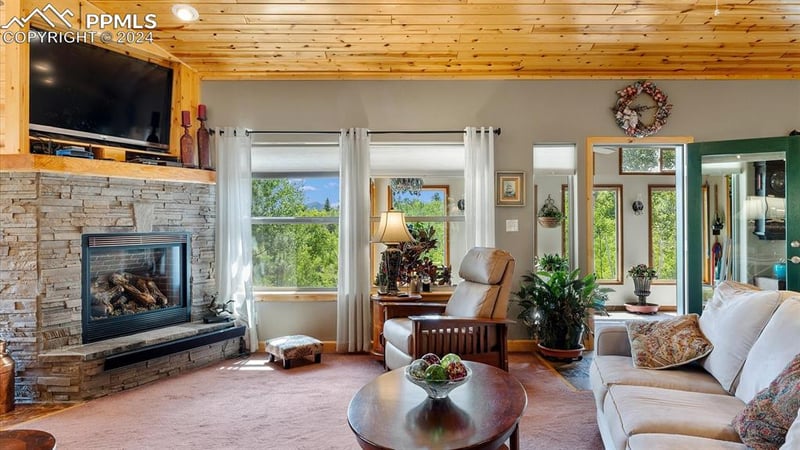 1161 Princess Rd, Cripple Creek, CO 80813