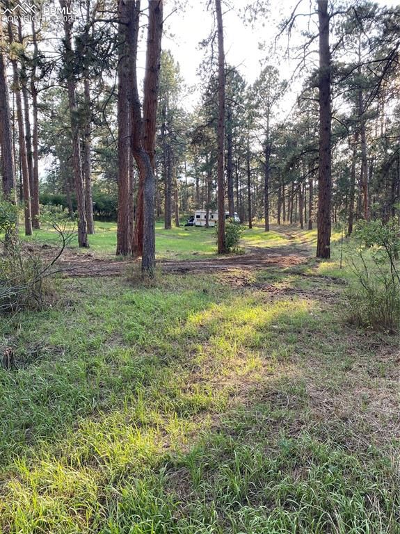 11660 Black Forest Rd, Colorado Springs, CO 80908