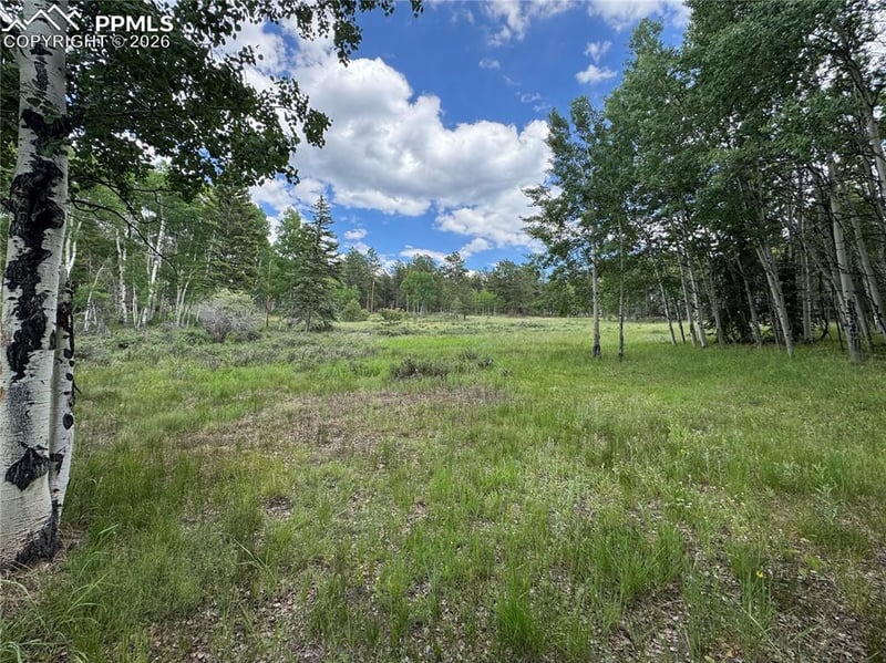 117 Vagabond Creek Ter, Lake George, CO 80827