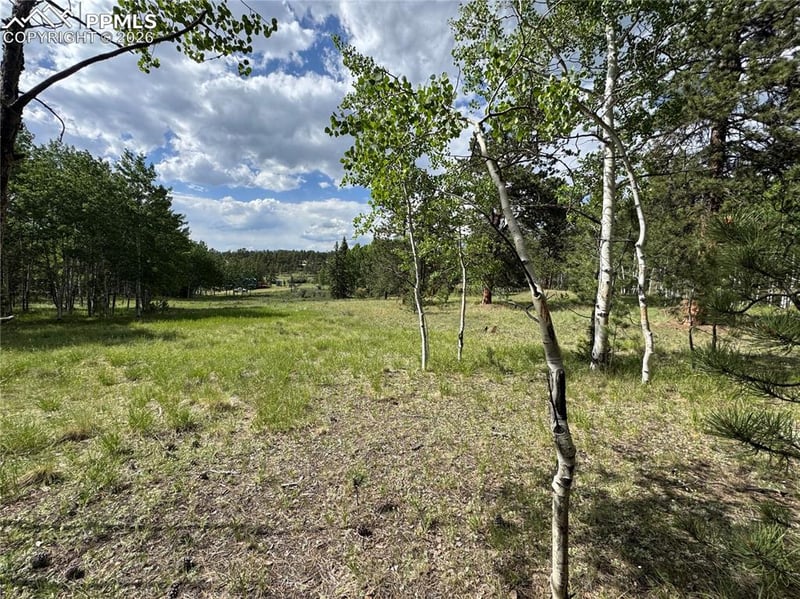 117 Vagabond Creek Ter, Lake George, CO 80827