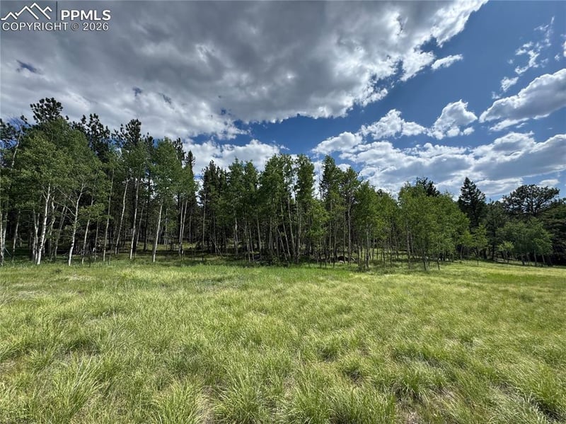 117 Vagabond Creek Ter, Lake George, CO 80827