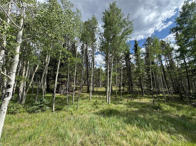 117 Vagabond Creek Ter, Lake George, CO 80827