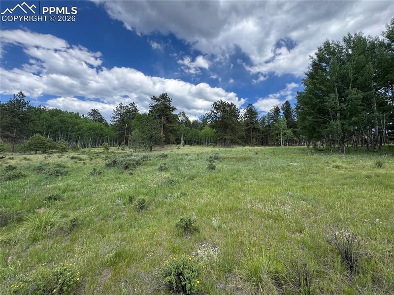 117 Vagabond Creek Ter, Lake George, CO 80827