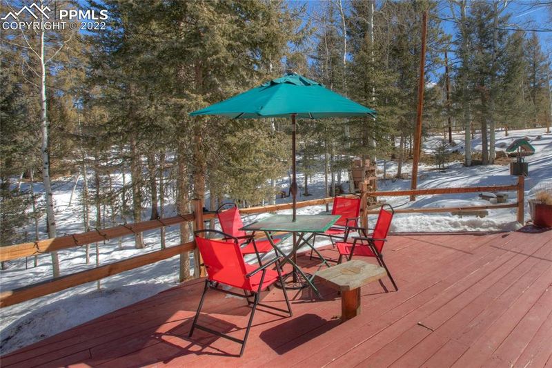 117 Wayward Wind Dr, Divide, CO 80814