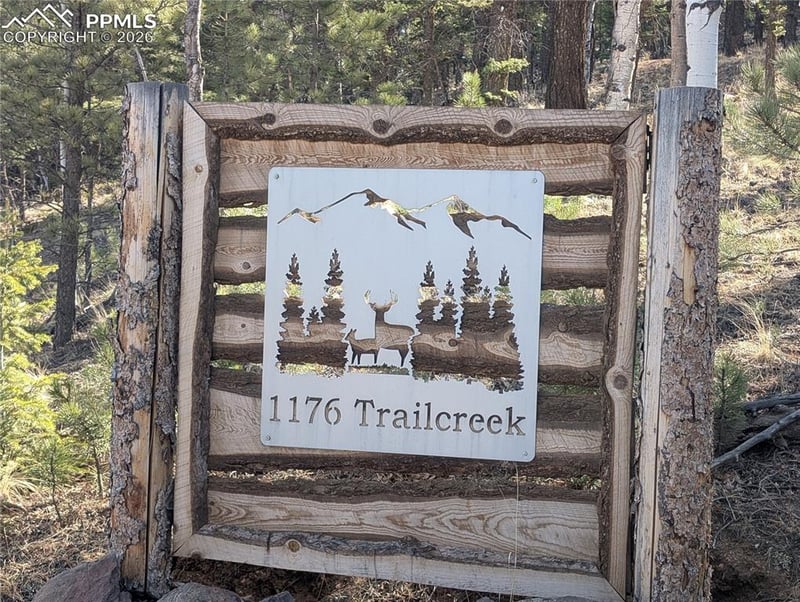 1176 Trail Creek Rd, Lake George, CO 80827