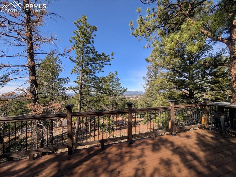 1176 Trail Creek Rd, Lake George, CO 80827