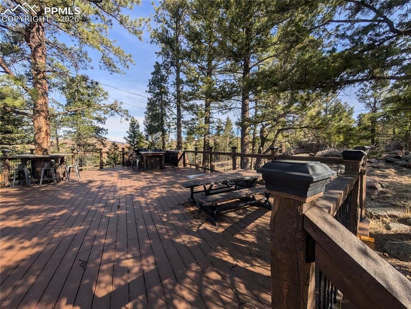 1176 Trail Creek Rd, Lake George, CO 80827