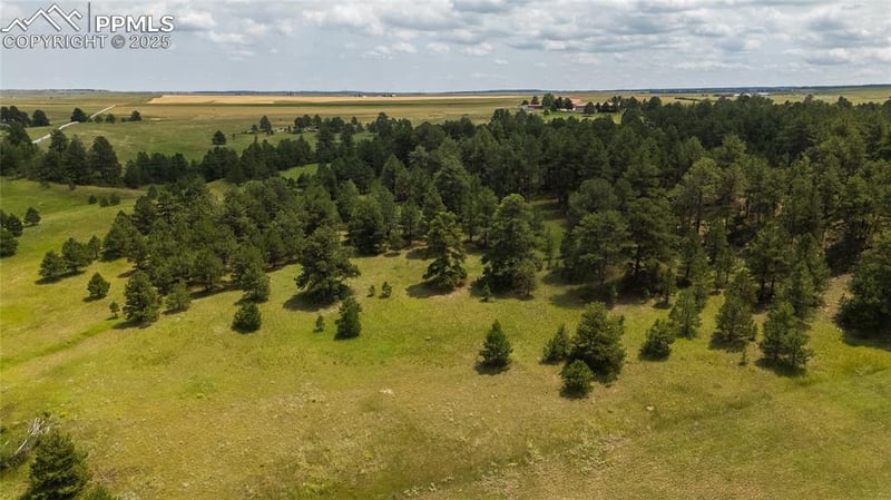 11771 Smith Rd, Elbert, CO 80106