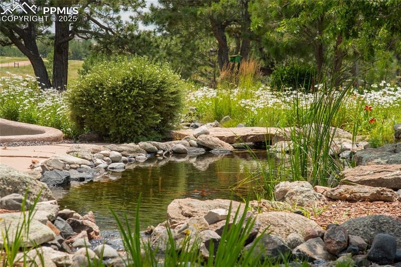 11771 Smith Rd, Elbert, CO 80106