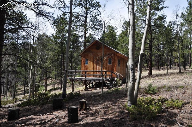 1181 E Bison Creek Trl, Divide, CO 80814