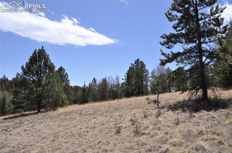 1181 E Bison Creek Trl, Divide, CO 80814