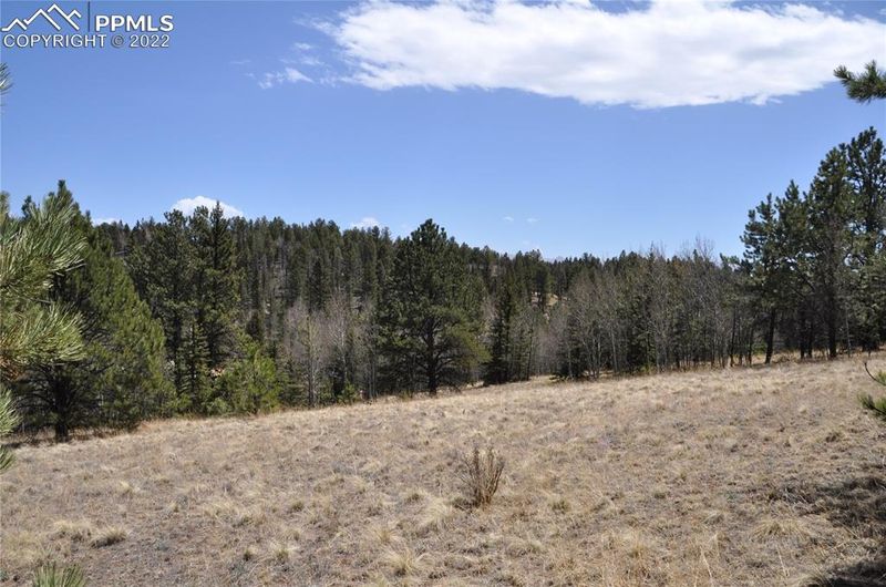 1181 E Bison Creek Trl, Divide, CO 80814