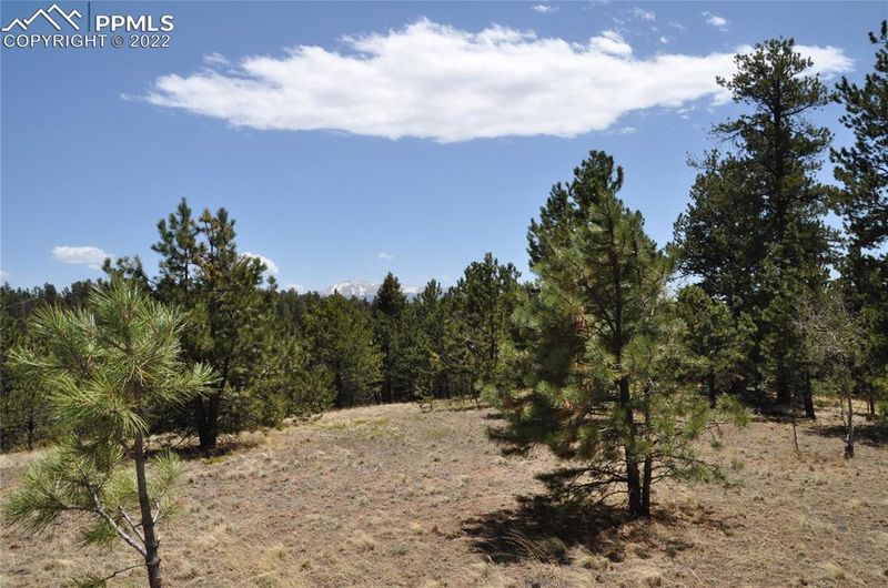 1181 E Bison Creek Trl, Divide, CO 80814