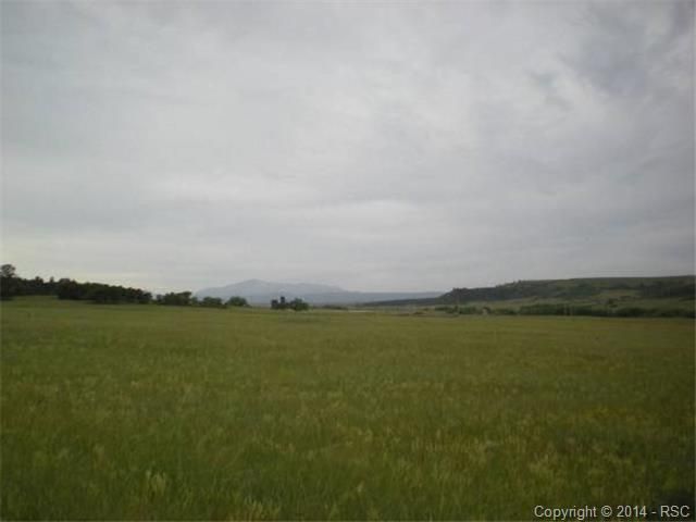 11834 S Highway 83 Hw, Franktown, CO 80116